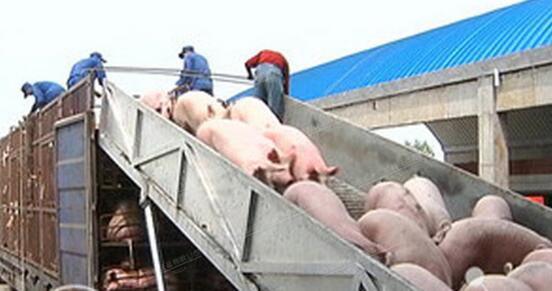 养殖业卸猪台南广机械您的首选品牌